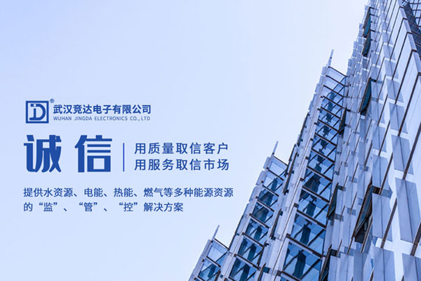 武汉竞达电子有限公司
